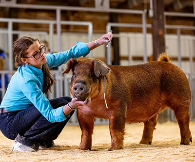 3RD OVERALL, CHAMPION DUROC GILT RING 1 – 2026 Central Indiana Classic, IN