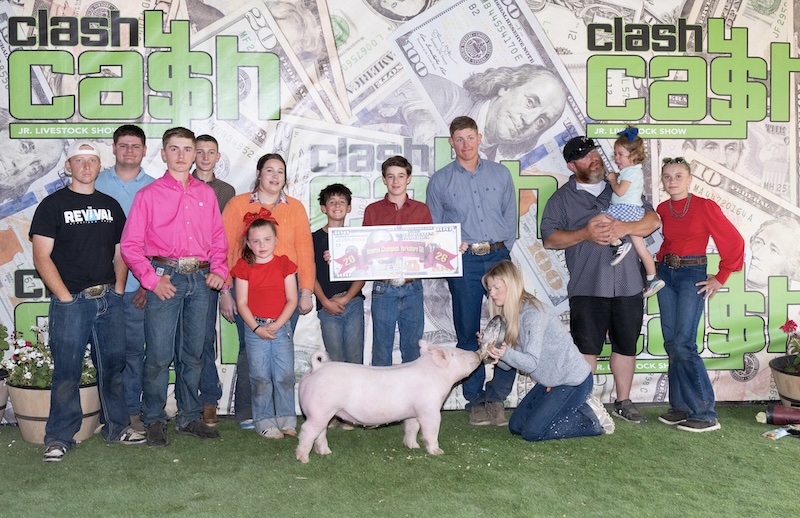 RESERVE CHAMPION YORK – 2026 Clash for Cash