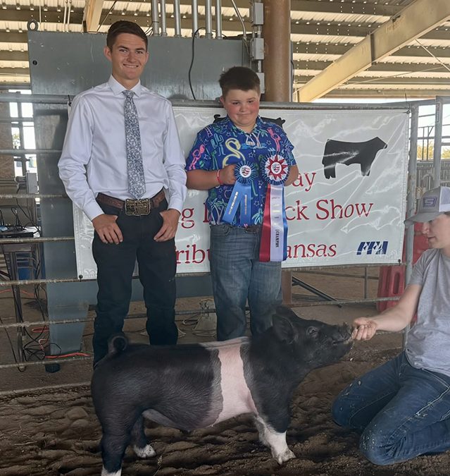 GRAND CHAMPION BREEDING GILT – 2026 Loyalty Day Show, KS