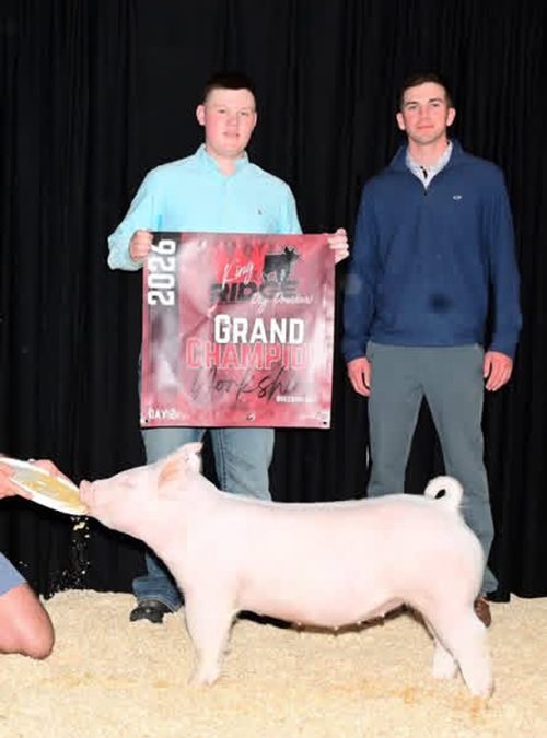 GRAND CHAMPION YORK GILT SUNDAY – 2026 King of the Ridge, OH