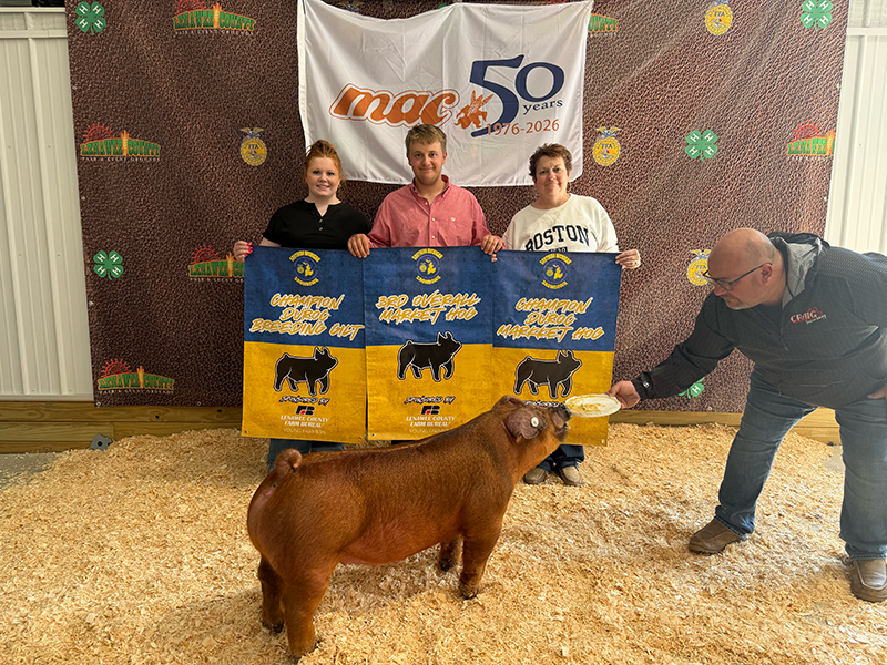 RESERVE BREEDING GILT OVERALL AND 3RD OVERALL MARKET HOG,  CHAMPION DUROC, BOTH RINGS – 2026 Southern Michigan Showdown, MI