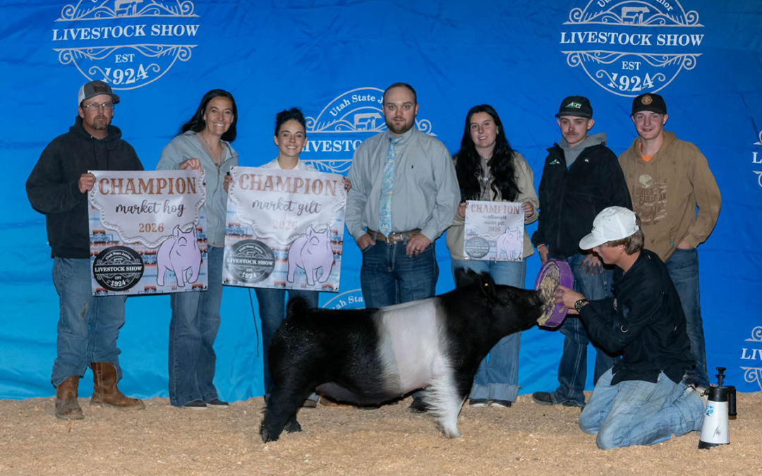 SUPREME OVERALL MARKET HOG – 2026 Utah State Jr Livestock Show, UT