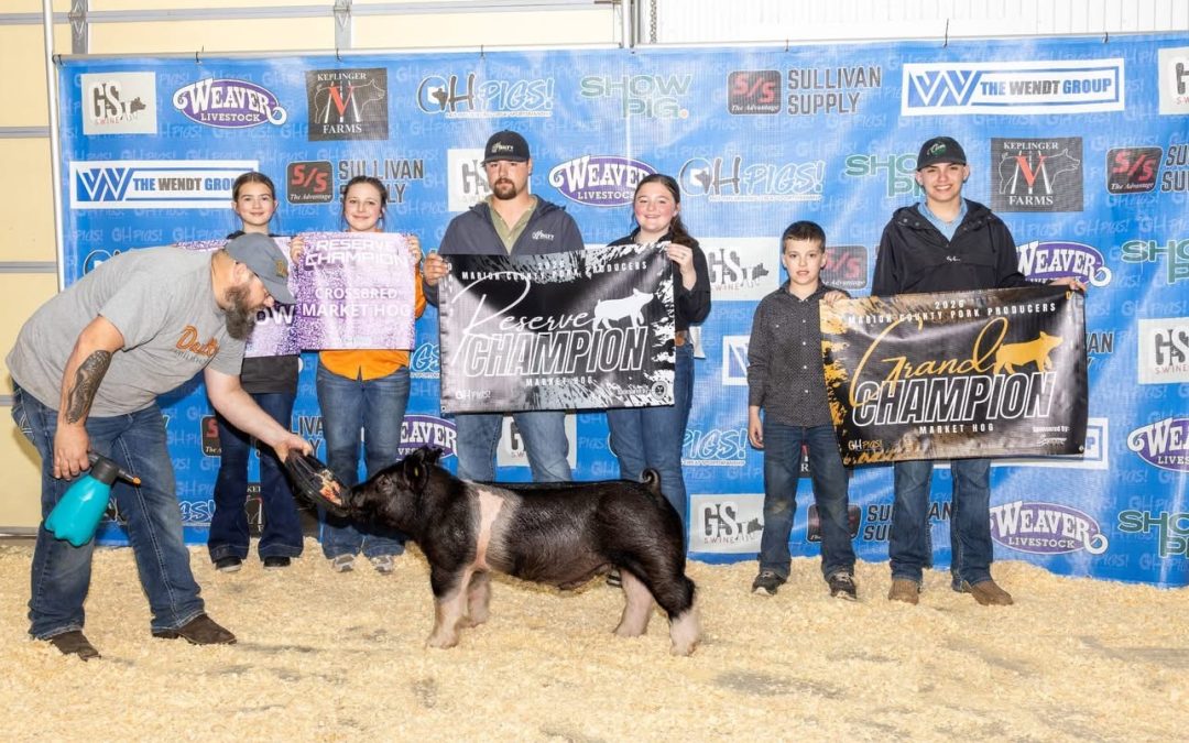 RESERVE GRAND CHAMPION OVERALL MARKET HOG SUNDAY – 2026 Mario. County Jackpot, OH