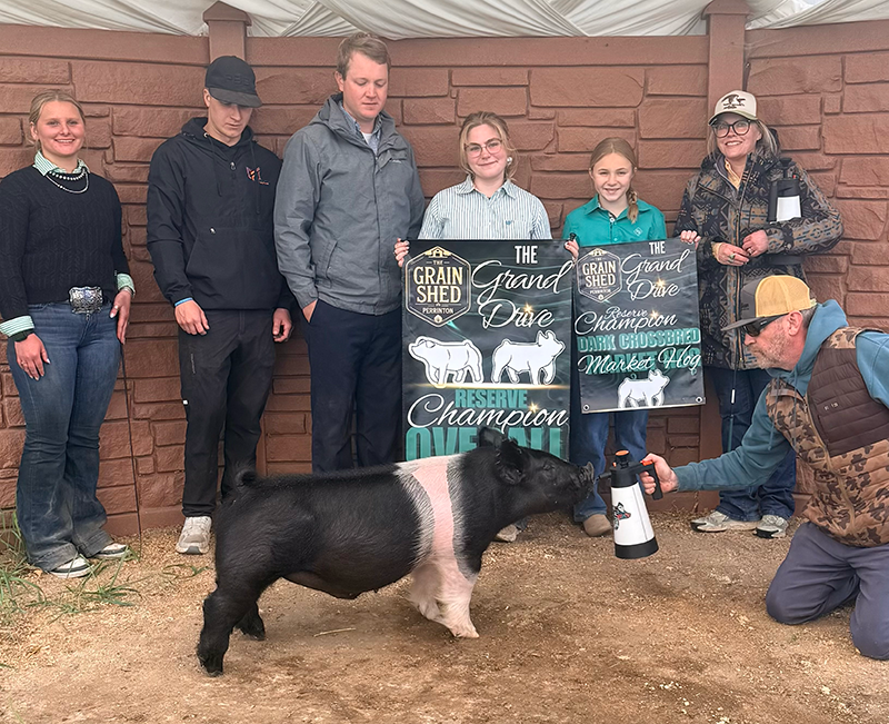RESERVE CHAMPION OVERALL – 2026 The Grain Shed Show, MI