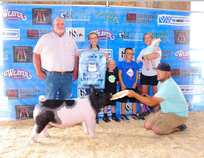 CHAMPION MARKET GILT & RESERVE OVERALL SUNDAY – 2026 Miami County Jackpot, OH