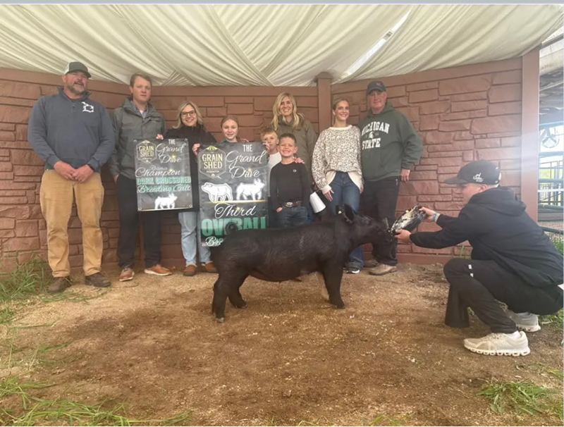 3RD OVERALL BREEDING GILT, RESERVE DARK CROSS MARKET GILT – 2026 Grain Shed Grand Drive, MI