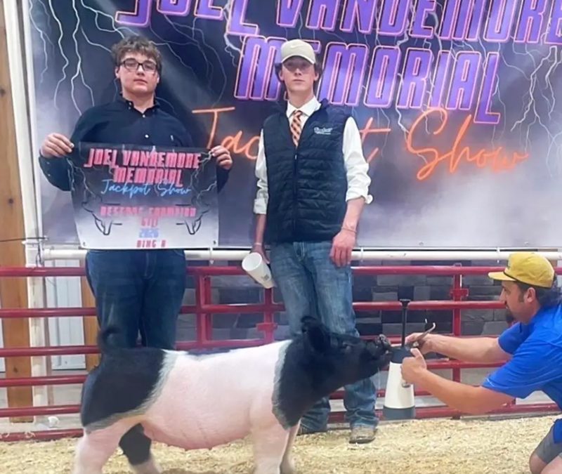 RESERVE CHAMPION GILT – 2026 Joel Vandemore, IL