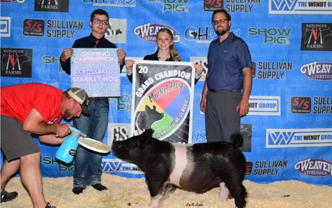 GRAND CHAMPION MARKET HOG – 2026 Ashland  County Jackpot, OH
