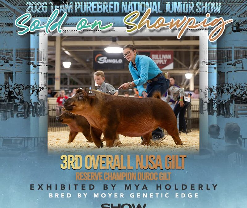 3RD OVERAL NJSA GILT, RESERVE CHAMPION DUROC GILT – 2026 Team Purebred National Jr Show, IL