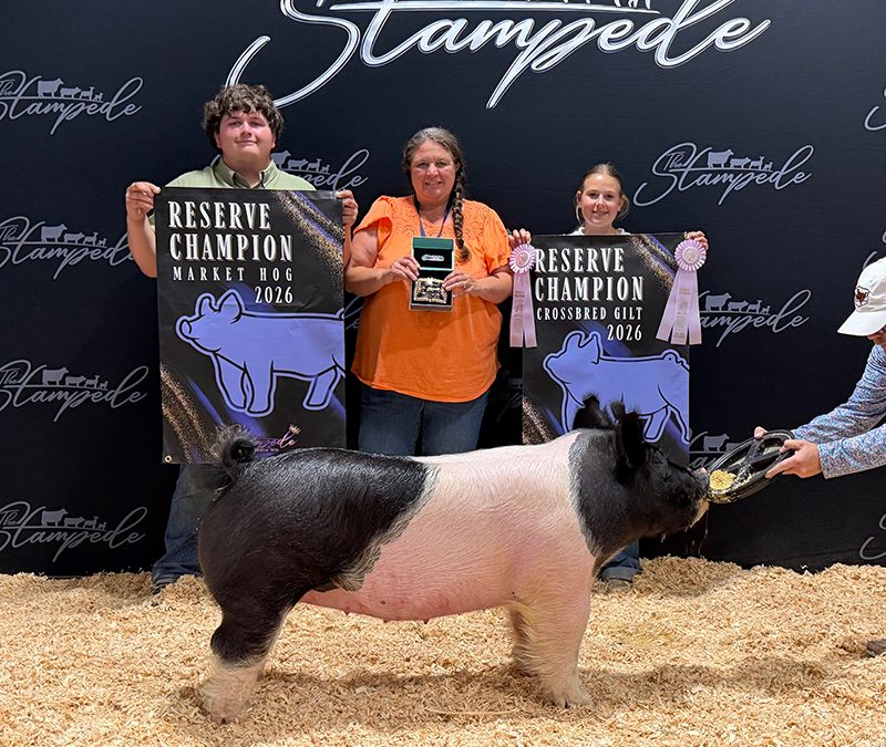 RESERVE GRAND CHAMPION – 2026 The Stampede