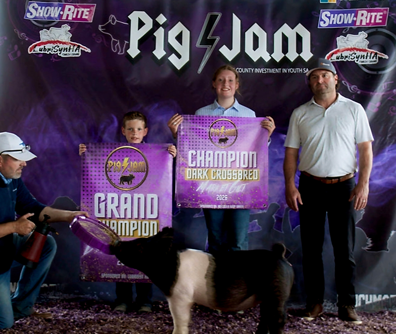 GRAND CHAMPION BREEDING GILT – 2026  Pig Slam Jackpot, KY