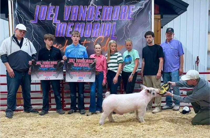 GRAND CHAMPION BARROW – 2026 Joel Vandemore Memorial, IA – Ring 1