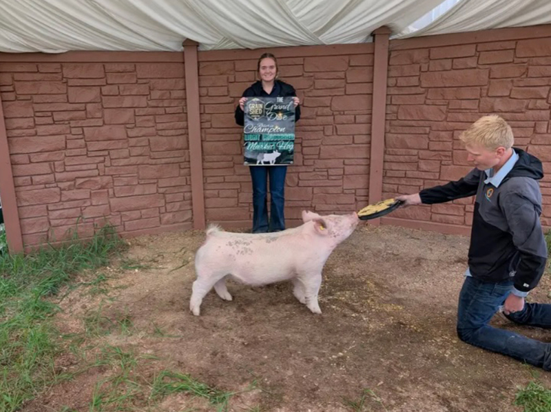 RESERVE LIGHT CROSS MARKET GILT – 2026 Grain Shed Grand Drive, MI