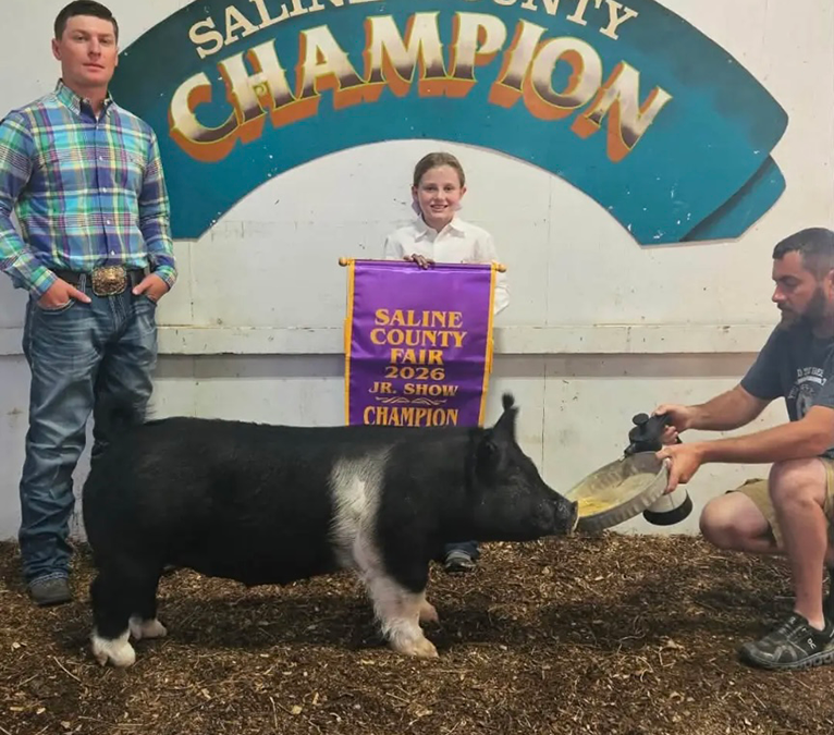 GRAND OVERALL MARKET HOG – 2026 Saline County, IL