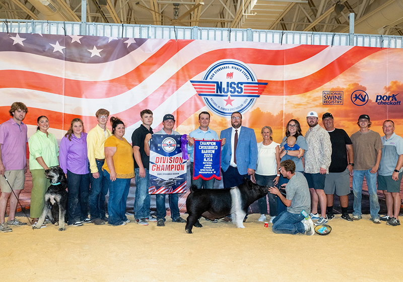 GRAND CHAMPION OVERALL CROSSBRED BARROW – 2026 NJSA Summer Spectacular