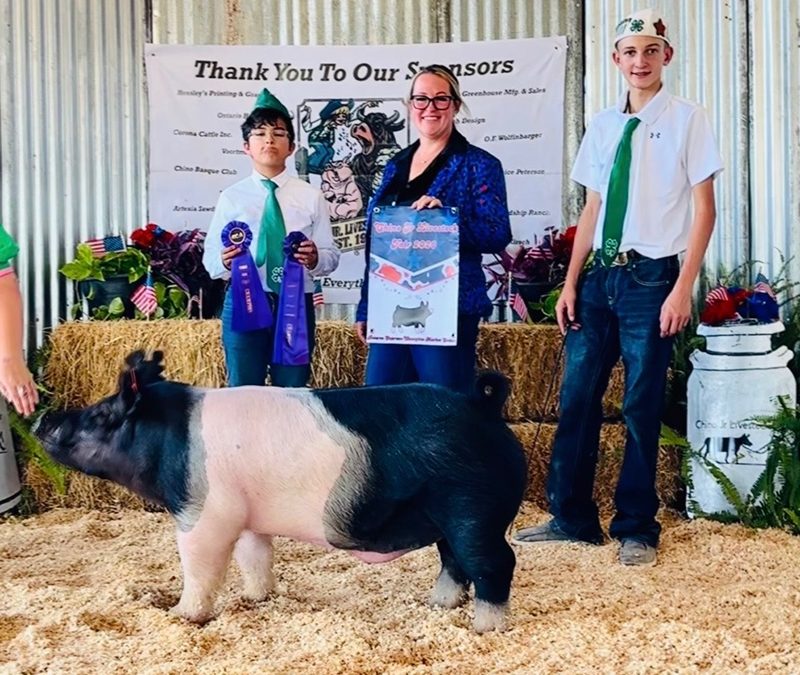 GRAND CHAMPION – 2026 Chino Fair