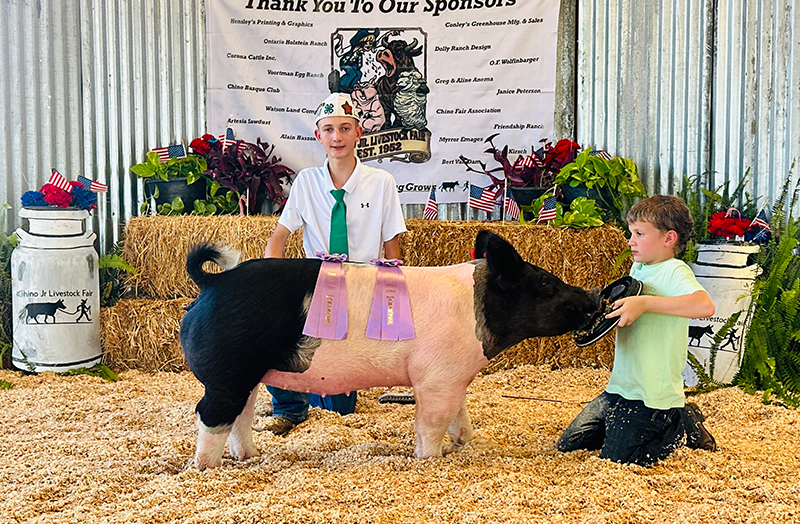RESERVE GRAND CHAMPION – 2026 Chino Fair