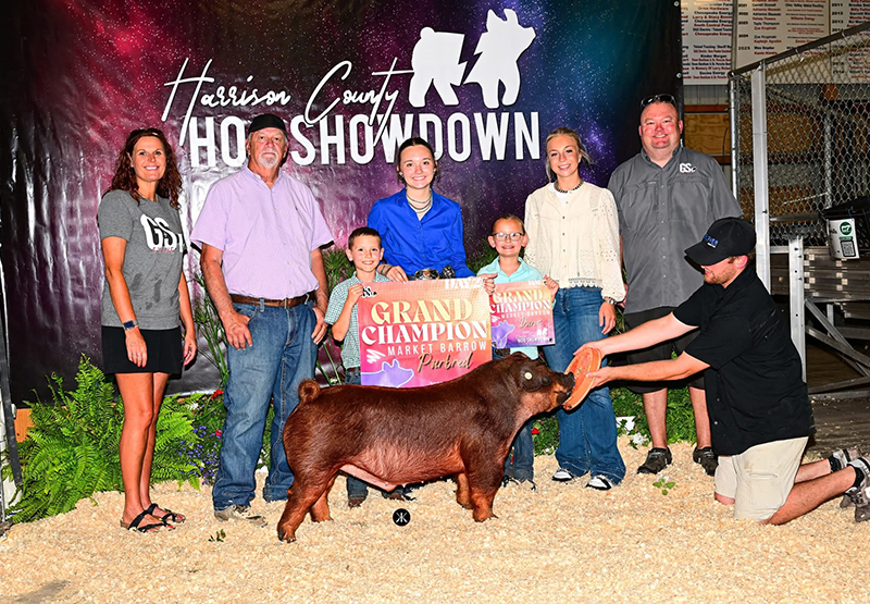 GRAND CHAMPION OVERALL PUREBRED – 2026 Harrison County Showdown, OH