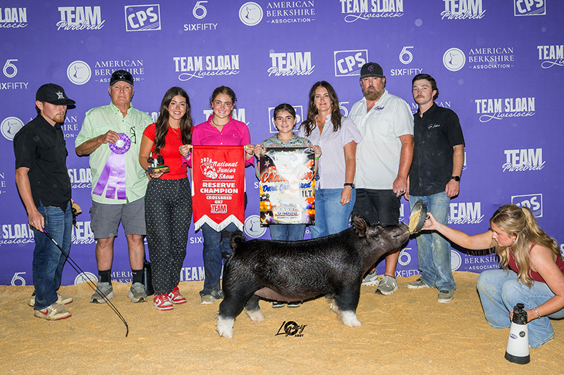 RESERVE CHAMPION OVERALL CROSSBRED GILT – 2026 Team Purebred