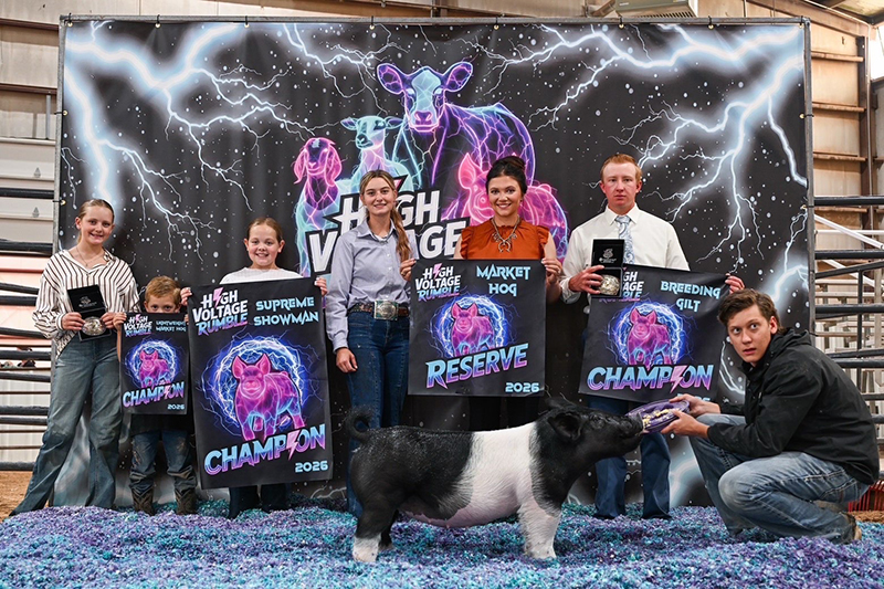 GRAND BREEDING GILT, RESERVE MARKET GILT, GRAND BREEDING AND MARKET GILT, DAY 1&2  – 2026 High Voltage and Battle Born Jackpot, UT