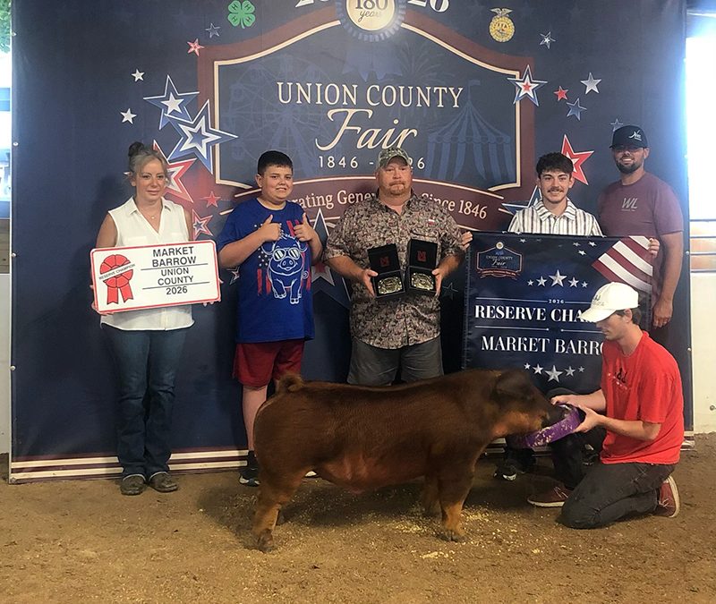 RESERVE GRAND CHAMPION OVERALL  – 2026 Union County, OH