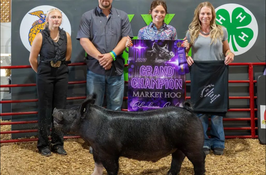 GRAND OVERALL MARKET HOG – 2026 Columbiana County, OH