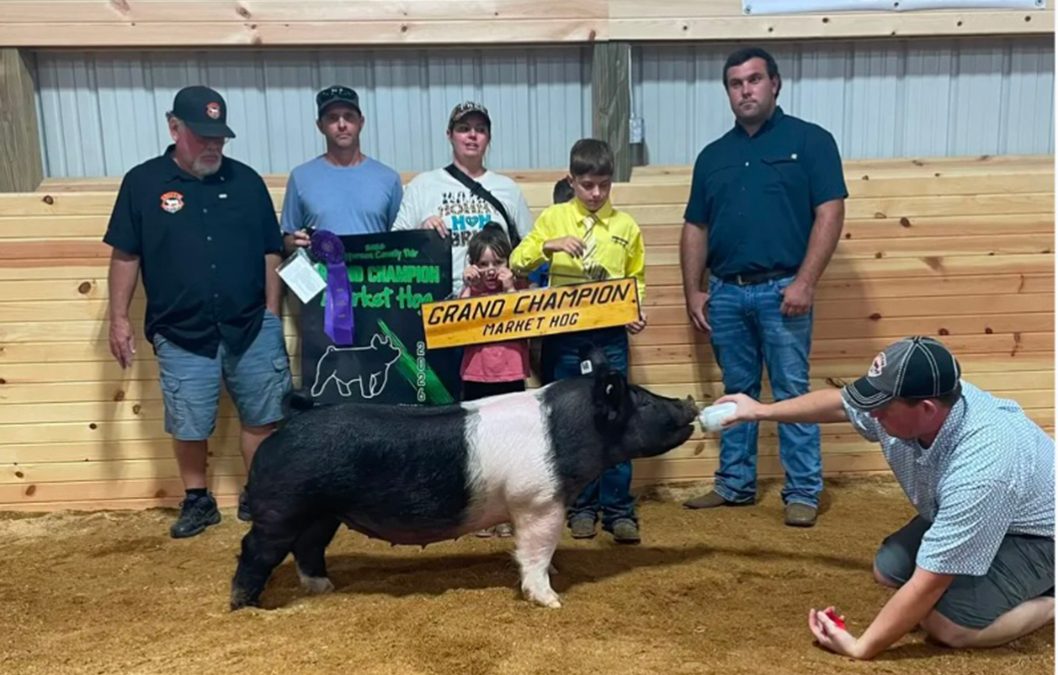 GRAND OVERALL MARKET HOG – 2026 Jefferson County, OH