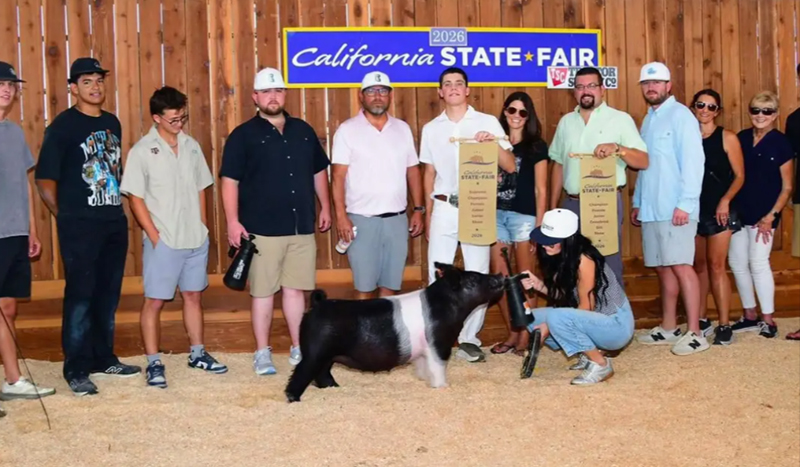 GRAND CHAMPION GILT – 2026 California State Fair