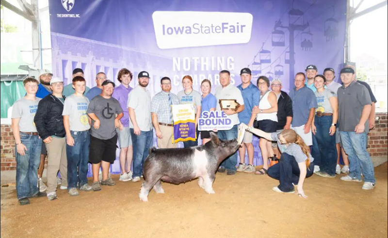 GRAND OVERALL FFA MARKET HOG – 2026 Iowa State Fair