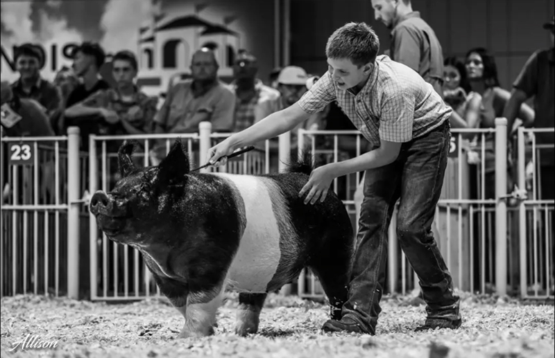4TH OVERALL DARK CROSS GILT – 2026 Illinois State Fair
