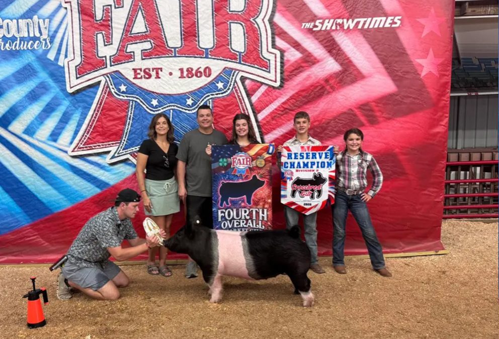 4TH OVERALL GILT, JR. SHOW – 2026 Shelby County, OH