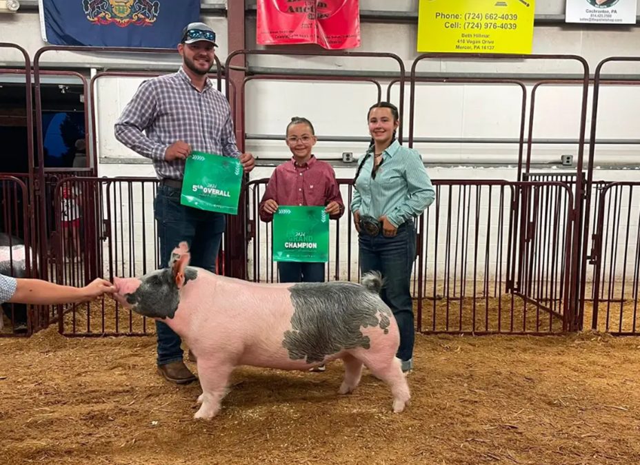 5TH OVERALL MARKET HOG – 2026 Mercer County Round Up, PA