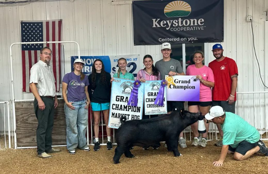 GRAND CHAMPION OVERALL MARKET HOG – 2026 Branch County, MI