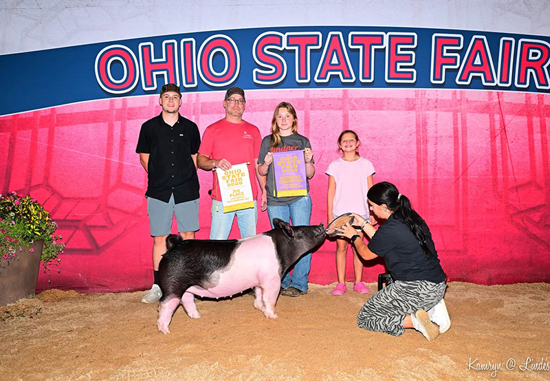 D1 RESERVE OVERALL CROSSBRED MARKET GILT – 2026 Ohio State Fair