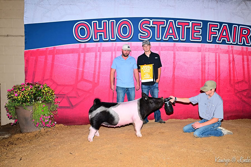 D1 5TH OVERALL CROSSBRED BREEDING GILT – 2026 Ohio State Fair