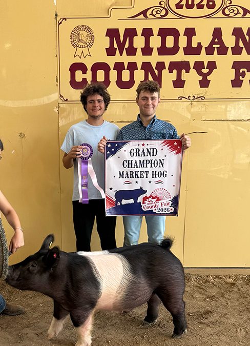 GRAND CHAMPION OVERALL MARKET HOG – 2026 Midland County, MI