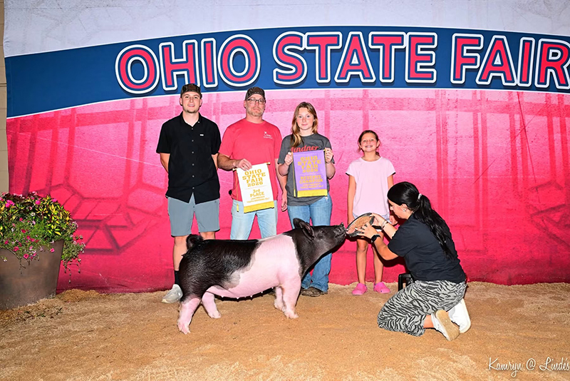 D1 3RD OVERALL CROSSBRED BREEDING GILT – 2026 Ohio State Fair