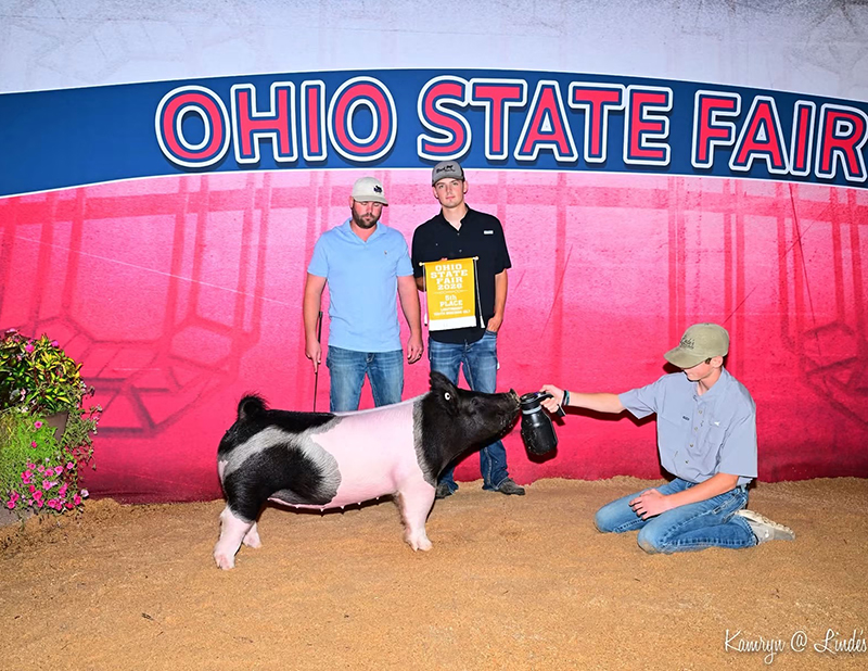 D1 RESERVE OVERALL CROSSBRED BREEDING GILT – 2026 Ohio State Fair
