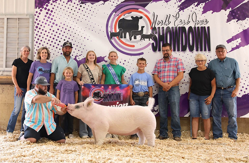 GRAND OVERALL GILT – 2026 NE Iowa District Showdown, IA