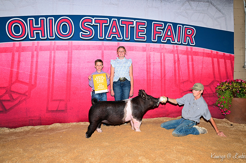 D1 5TH OVERALL MARKET GILT – 2026 Ohio State Fair