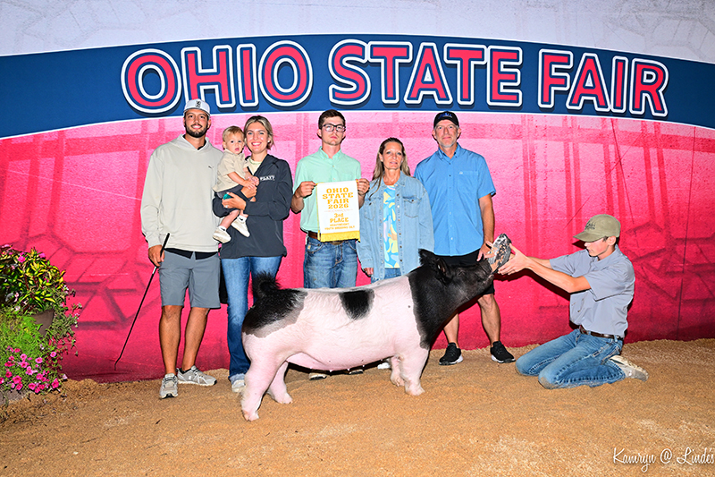 D3 3RD OVERALL CROSSBRED BREEDING GILT – 2026 Ohio State Fair