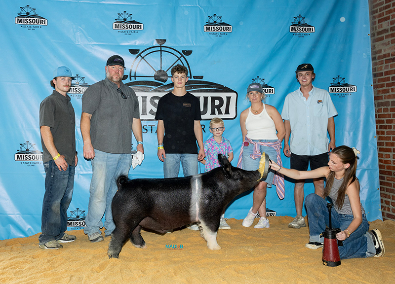 D2 RESERVE CHAMPION CROSS BARROW – 2026 Missouri State Fair