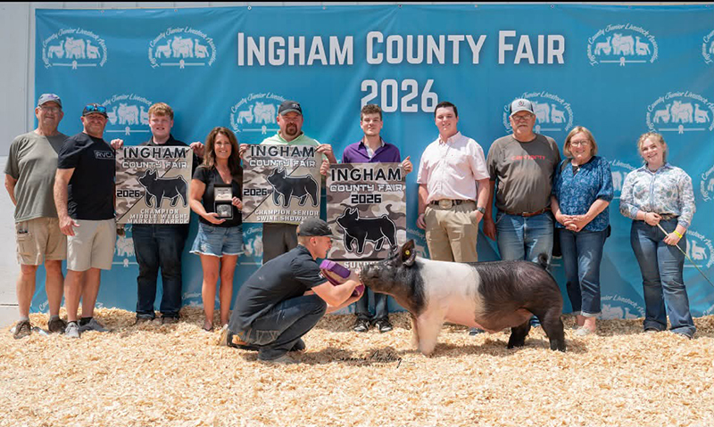 GRAND CHAMPION MARKET HOG – 2026 Ingham Co, MI