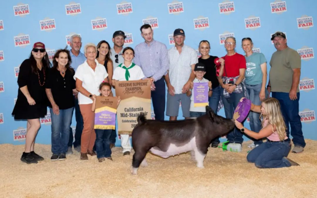 RESERVE GRAND CHAMPION OVERALL MARKET HOG – 2026 California Mid-State Fair