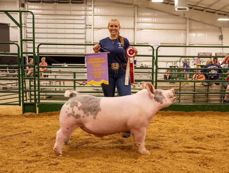 RESERVE GRAND MARKET HOG – 2026 Mahoning Co, OH