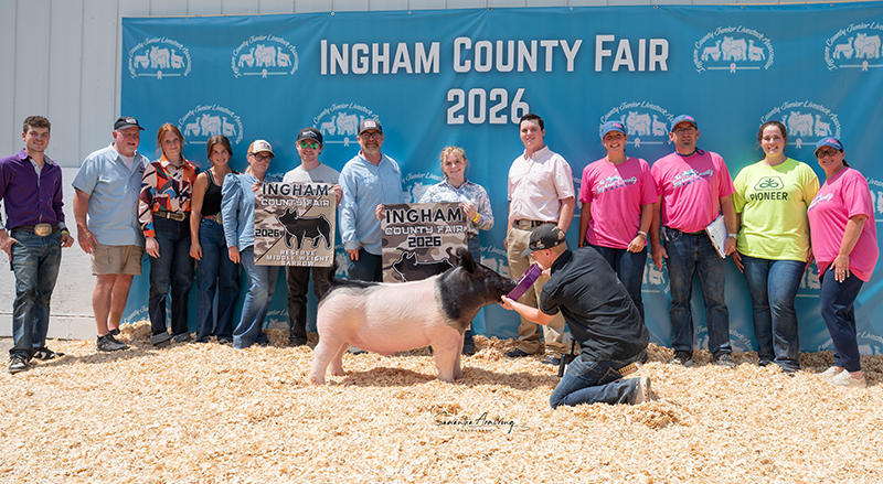 3RD OVERALL MARKET HOG – 2026 Ingham Co, MI