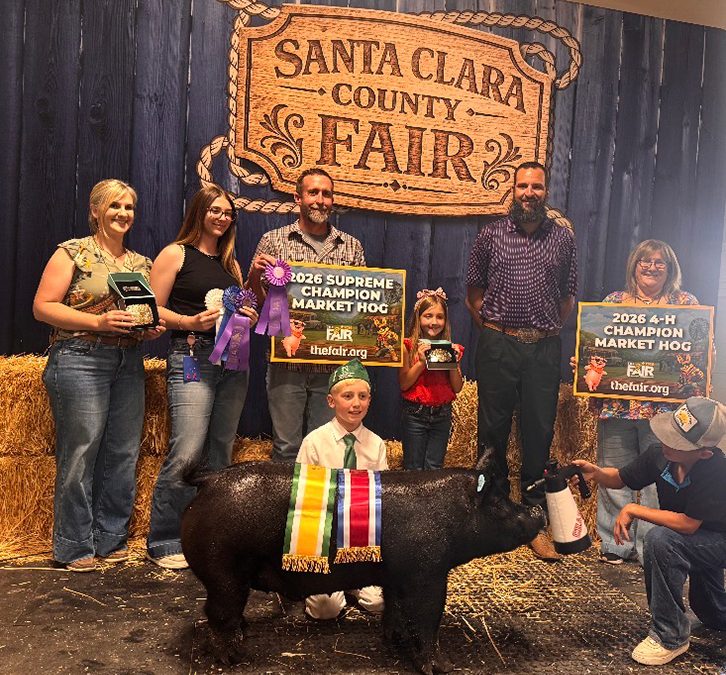 GRAND CHAMPION – 2026 Santa Clara County Fair