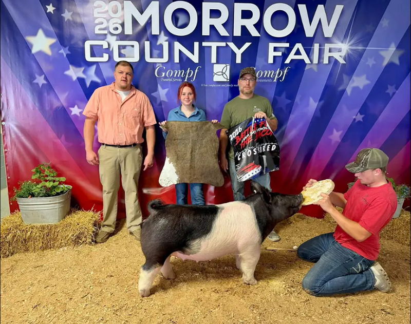 RESERVE GRAND MARKET HOG – 2026 Morrow  Co, OH