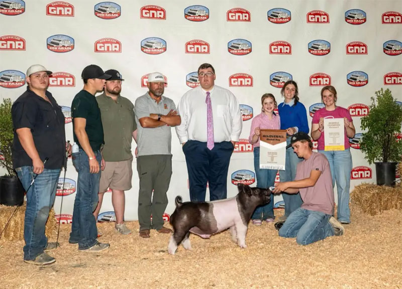 4TH OVERALL MARKET HOG SHOW B – 2026 Cow Palace, CA